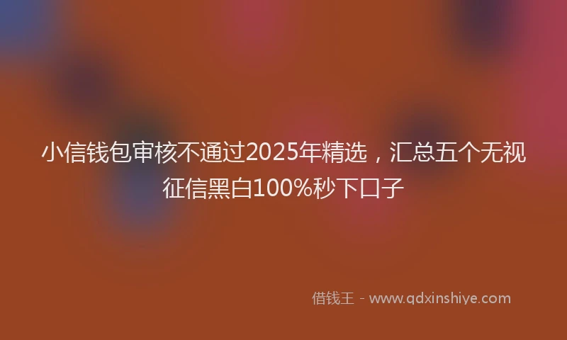 小信钱包审核不通过2025年精选，汇总五个无视征信黑白100%秒下口子
