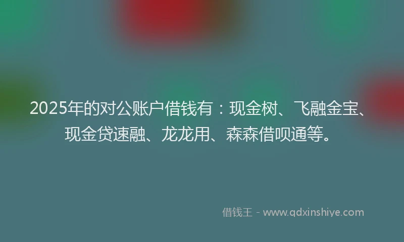 2025年的对公账户借钱有：现金树、飞融金宝、现金贷速融、龙龙用、森森借呗通等。