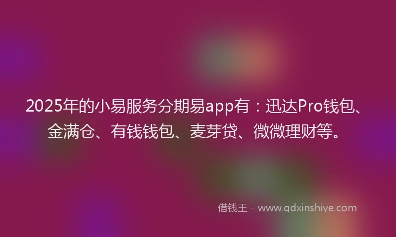 2025年的小易服务分期易app有：迅达Pro钱包、金满仓、有钱钱包、麦芽贷、微微理财等。
