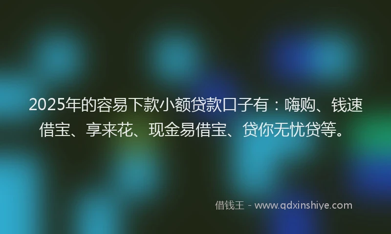 2025年的容易下款小额贷款口子有：嗨购、钱速借宝、享来花、现金易借宝、贷你无忧贷等。