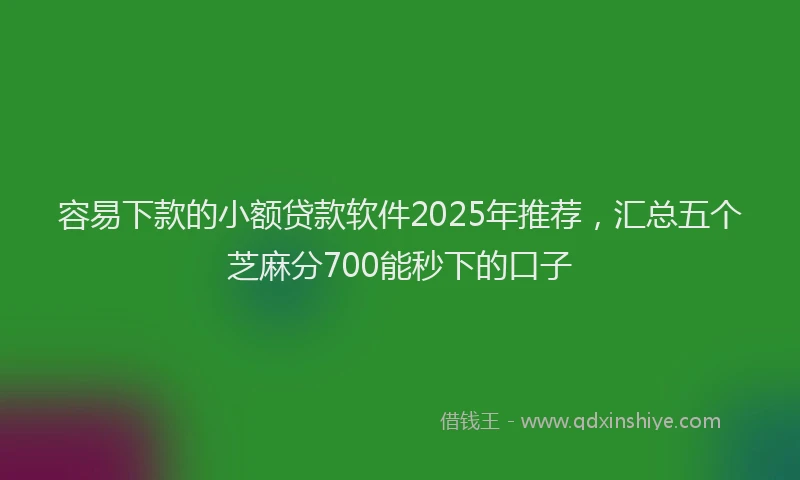 容易下款的小额贷款软件2025年推荐，汇总五个芝麻分700能秒下的口子
