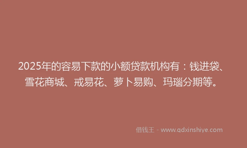 2025年的容易下款的小额贷款机构有：钱进袋、雪花商城、戒易花、萝卜易购、玛瑙分期等。