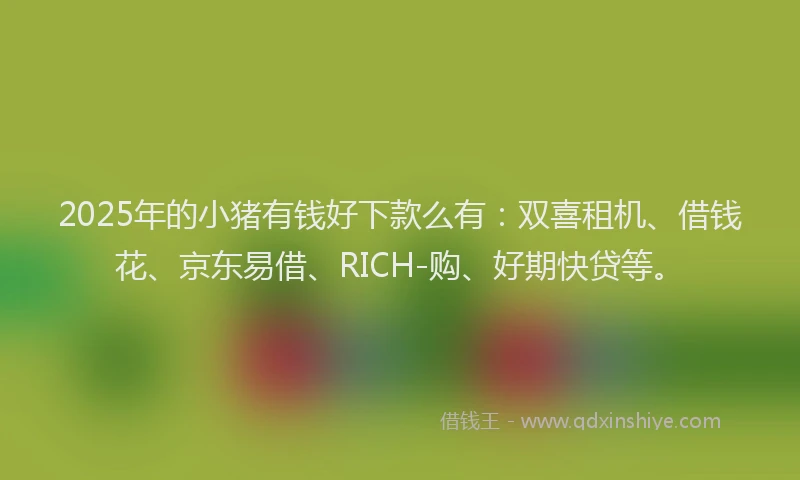 2025年的小猪有钱好下款么有：双喜租机、借钱花、京东易借、RICH-购、好期快贷等。