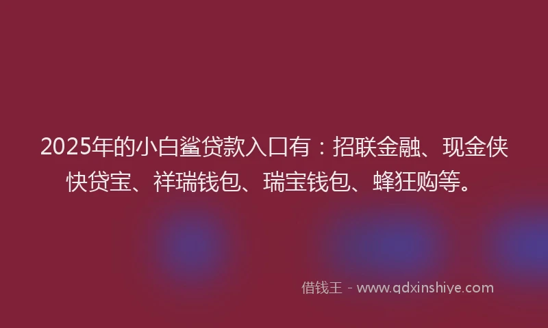 2025年的小白鲨贷款入口有：招联金融、现金侠快贷宝、祥瑞钱包、瑞宝钱包、蜂狂购等。