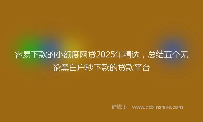 容易下款的小额度网贷2025年精选，总结五个无论黑白户秒下款的贷款平台