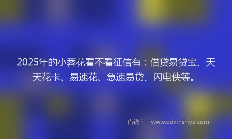 2025年的小蓉花看不看征信有：借贷易贷宝、天天花卡、易速花、急速易贷、闪电侠等。