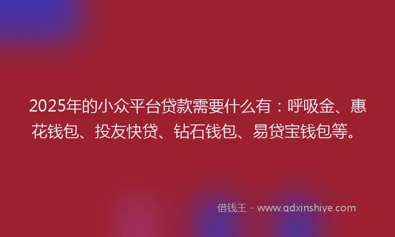 2025年的小众平台贷款需要什么有：呼吸金、惠花钱包、投友快贷、钻石钱包、易贷宝钱包等。