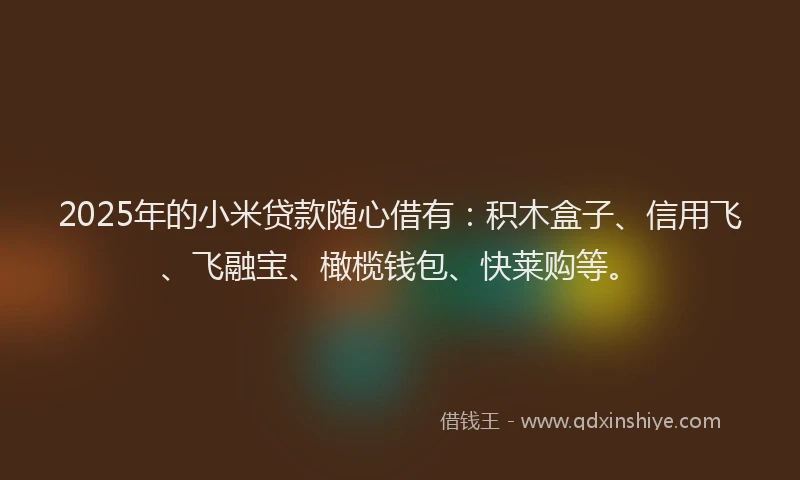 2025年的小米贷款随心借有：积木盒子、信用飞、飞融宝、橄榄钱包、快莱购等。