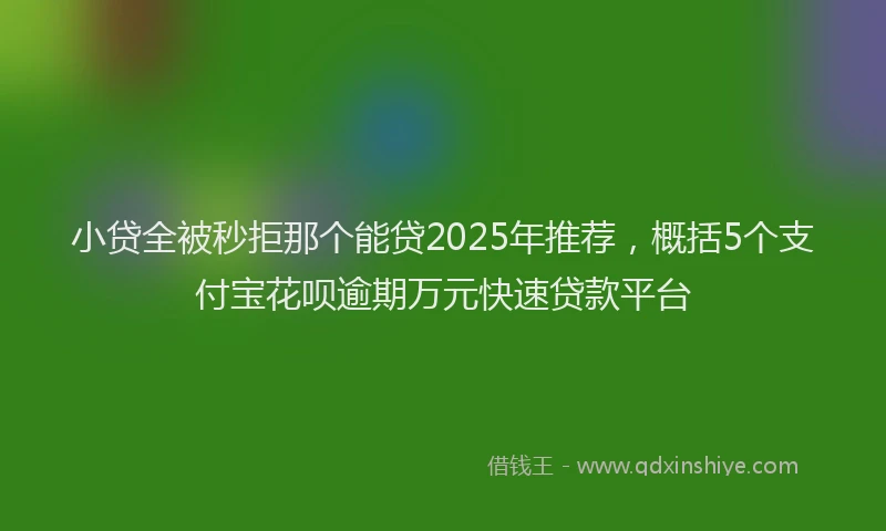 小贷全被秒拒那个能贷2025年推荐，概括5个支付宝花呗逾期万元快速贷款平台
