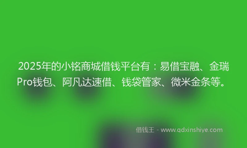 2025年的小铭商城借钱平台有：易借宝融、金瑞Pro钱包、阿凡达速借、钱袋管家、微米金条等。
