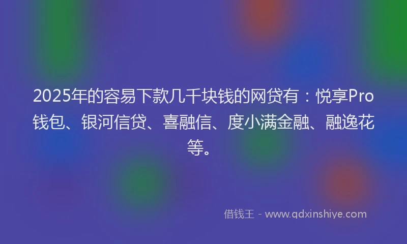 2025年的容易下款几千块钱的网贷有：悦享Pro钱包、银河信贷、喜融信、度小满金融、融逸花等。