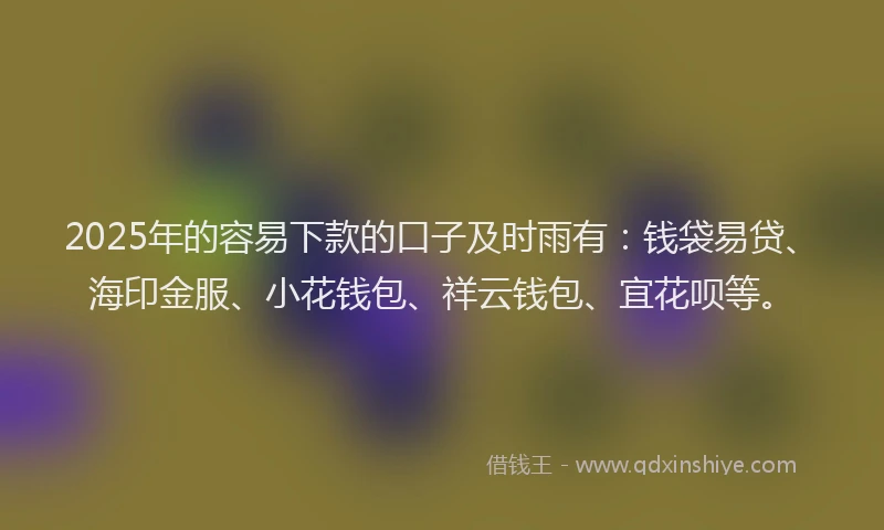 2025年的容易下款的口子及时雨有：钱袋易贷、海印金服、小花钱包、祥云钱包、宜花呗等。