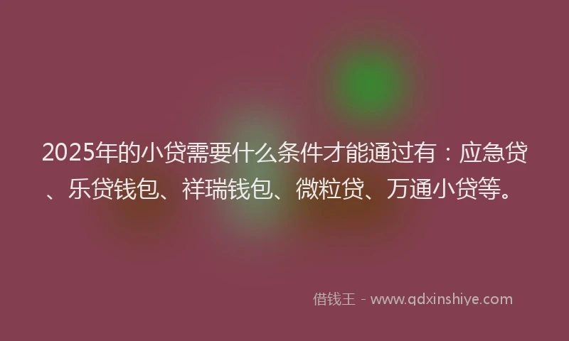 2025年的小贷需要什么条件才能通过有：应急贷、乐贷钱包、祥瑞钱包、微粒贷、万通小贷等。
