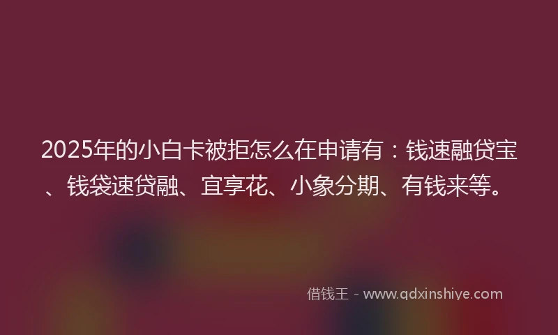 2025年的小白卡被拒怎么在申请有：钱速融贷宝、钱袋速贷融、宜享花、小象分期、有钱来等。