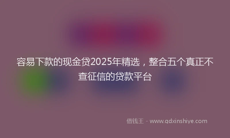 容易下款的现金贷2025年精选，整合五个真正不查征信的贷款平台