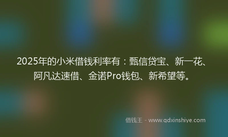 2025年的小米借钱利率有：甄信贷宝、新一花、阿凡达速借、金诺Pro钱包、新希望等。
