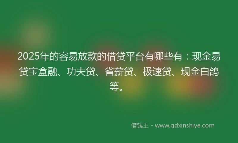 2025年的容易放款的借贷平台有哪些有：现金易贷宝盒融、功夫贷、省薪贷、极速贷、现金白鸽等。