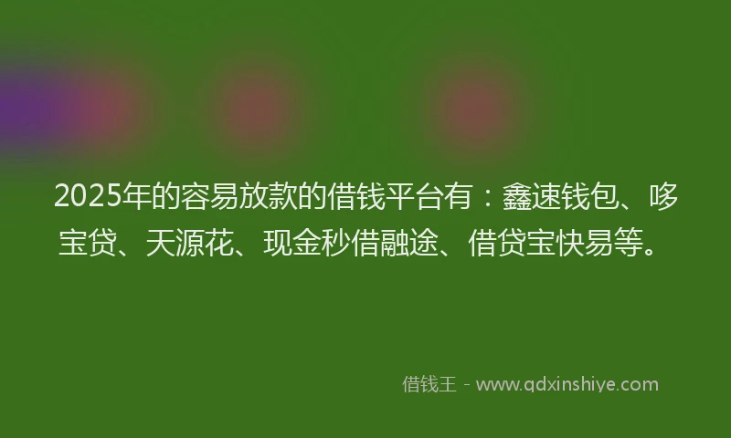 2025年的容易放款的借钱平台有：鑫速钱包、哆宝贷、天源花、现金秒借融途、借贷宝快易等。