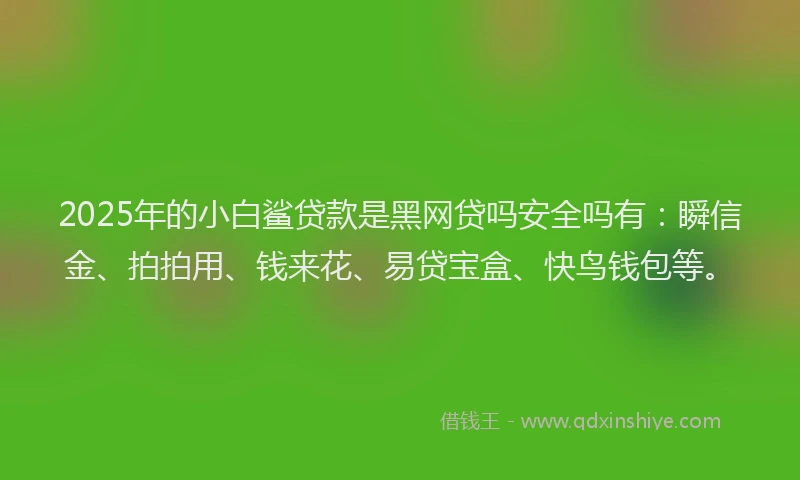 2025年的小白鲨贷款是黑网贷吗安全吗有：瞬信金、拍拍用、钱来花、易贷宝盒、快鸟钱包等。