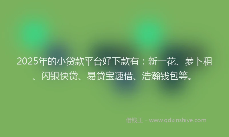 2025年的小贷款平台好下款有：新一花、萝卜租、闪银快贷、易贷宝速借、浩瀚钱包等。