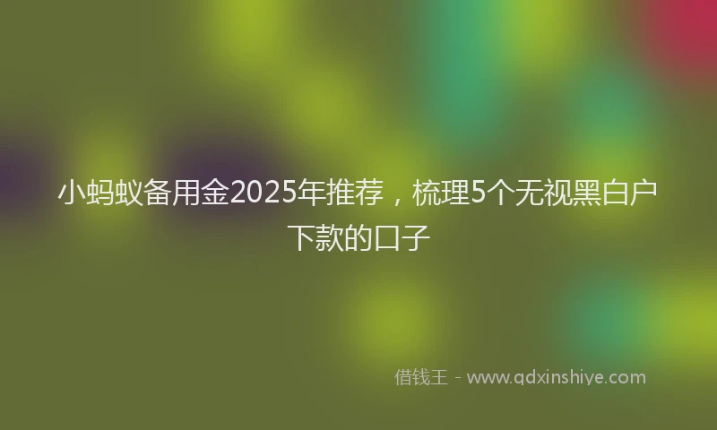 小蚂蚁备用金2025年推荐，梳理5个无视黑白户下款的口子