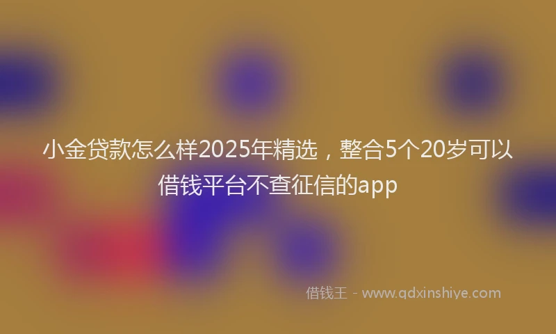 小金贷款怎么样2025年精选，整合5个20岁可以借钱平台不查征信的app