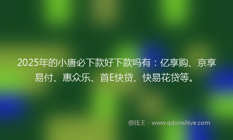 2025年的小唐必下款好下款吗有：亿享购、京享易付、惠众乐、首E快贷、快易花贷等。