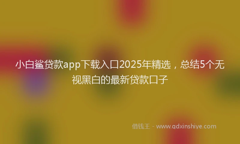 小白鲨贷款app下载入口2025年精选，总结5个无视黑白的最新贷款口子