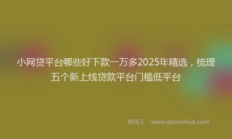 小网贷平台哪些好下款一万多2025年精选，梳理五个新上线贷款平台门槛低平台
