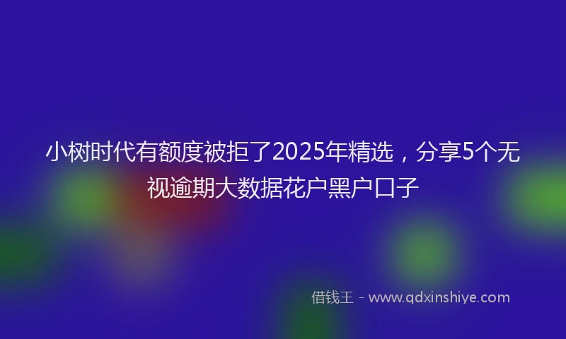 小树时代有额度被拒了2025年精选，分享5个无视逾期大数据花户黑户口子