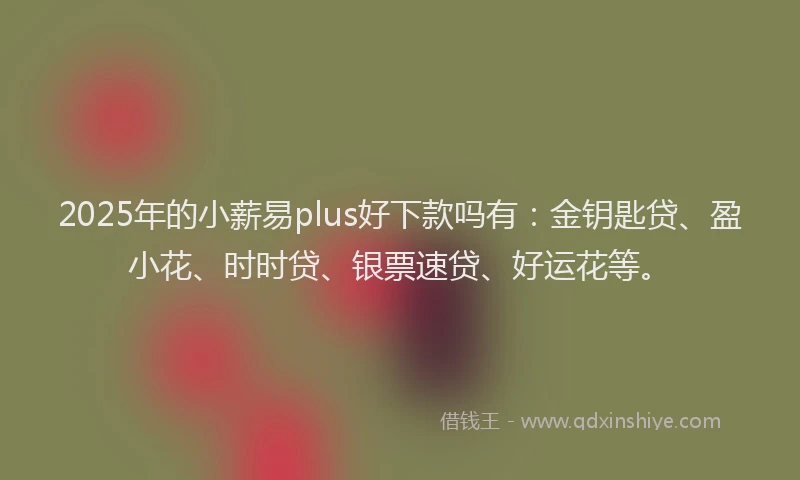 2025年的小薪易plus好下款吗有：金钥匙贷、盈小花、时时贷、银票速贷、好运花等。