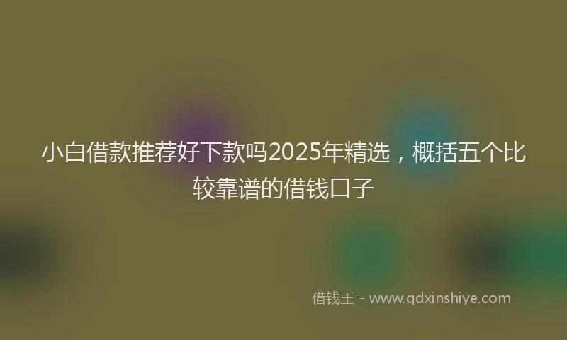 小白借款推荐好下款吗2025年精选，概括五个比较靠谱的借钱口子