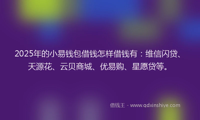 2025年的小易钱包借钱怎样借钱有：维信闪贷、天源花、云贝商城、优易购、星愿贷等。