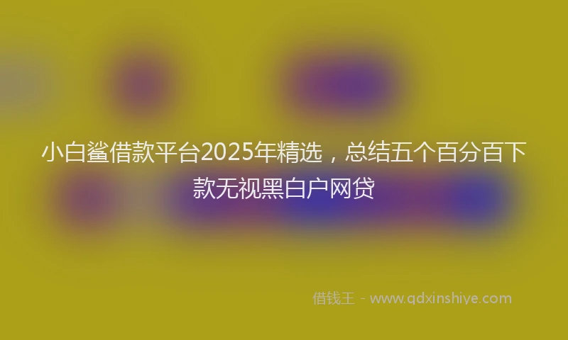 小白鲨借款平台2025年精选，总结五个百分百下款无视黑白户网贷