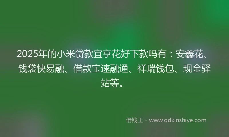 2025年的小米贷款宜享花好下款吗有：安鑫花、钱袋快易融、借款宝速融通、祥瑞钱包、现金驿站等。