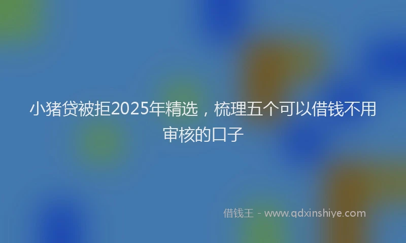 小猪贷被拒2025年精选，梳理五个可以借钱不用审核的口子
