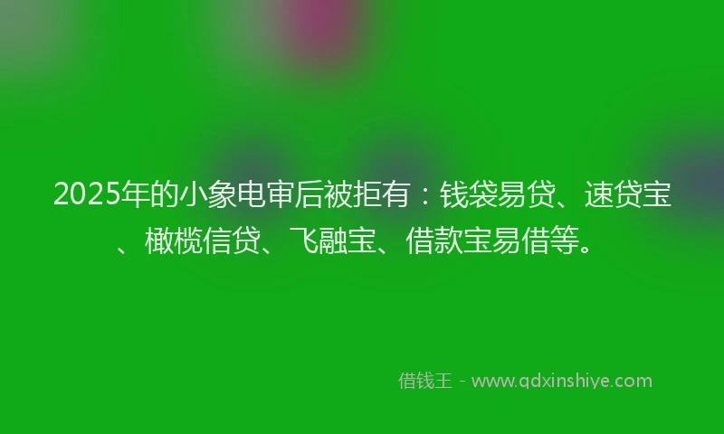 2025年的小象电审后被拒有：钱袋易贷、速贷宝、橄榄信贷、飞融宝、借款宝易借等。