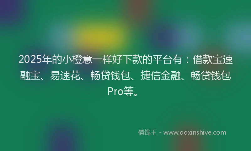 2025年的小橙意一样好下款的平台有：借款宝速融宝、易速花、畅贷钱包、捷信金融、畅贷钱包Pro等。