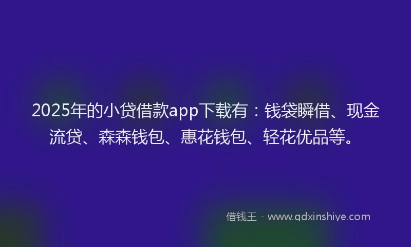 2025年的小贷借款app下载有：钱袋瞬借、现金流贷、森森钱包、惠花钱包、轻花优品等。