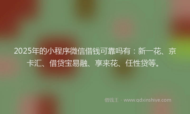 2025年的小程序微信借钱可靠吗有：新一花、京卡汇、借贷宝易融、享来花、任性贷等。