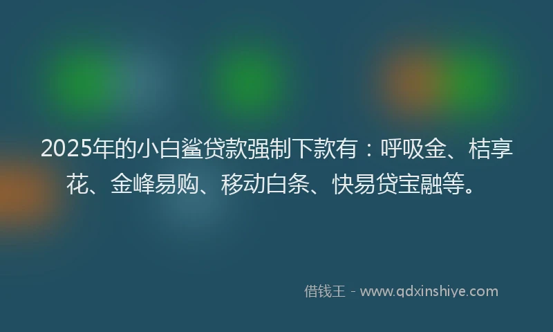 2025年的小白鲨贷款强制下款有：呼吸金、桔享花、金峰易购、移动白条、快易贷宝融等。