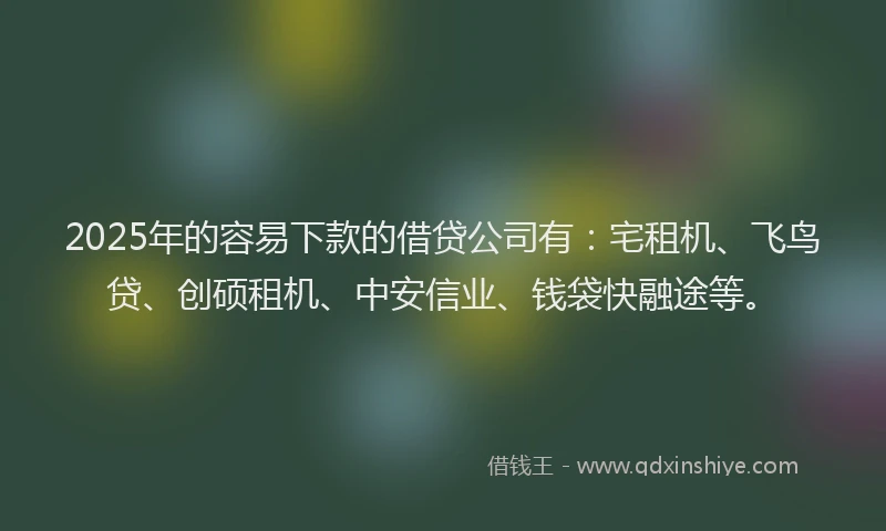 2025年的容易下款的借贷公司有：宅租机、飞鸟贷、创硕租机、中安信业、钱袋快融途等。