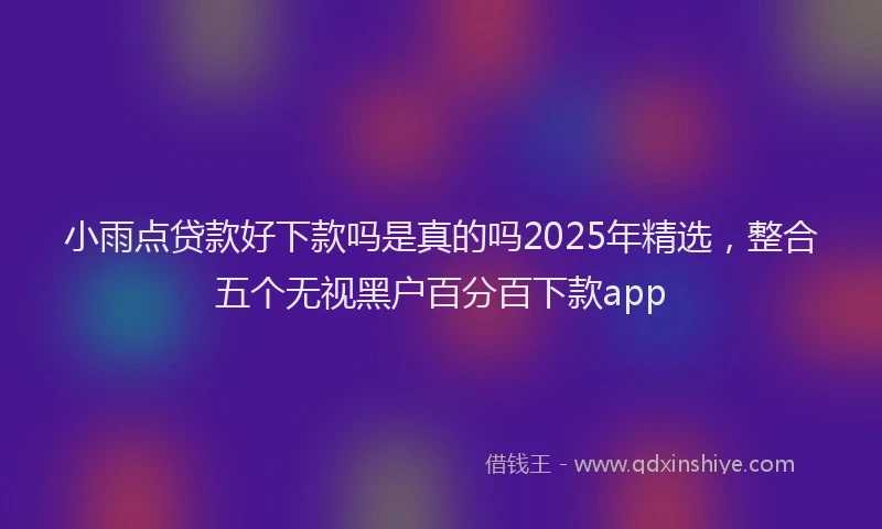小雨点贷款好下款吗是真的吗2025年精选，整合五个无视黑户百分百下款app