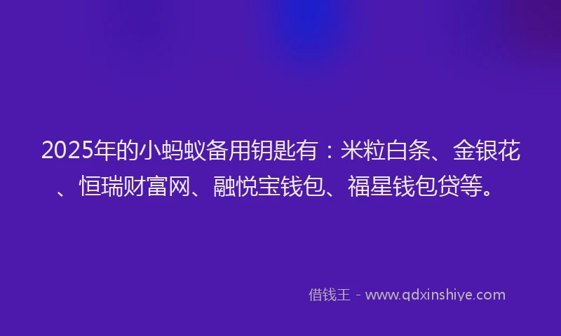 2025年的小蚂蚁备用钥匙有：米粒白条、金银花、恒瑞财富网、融悦宝钱包、福星钱包贷等。