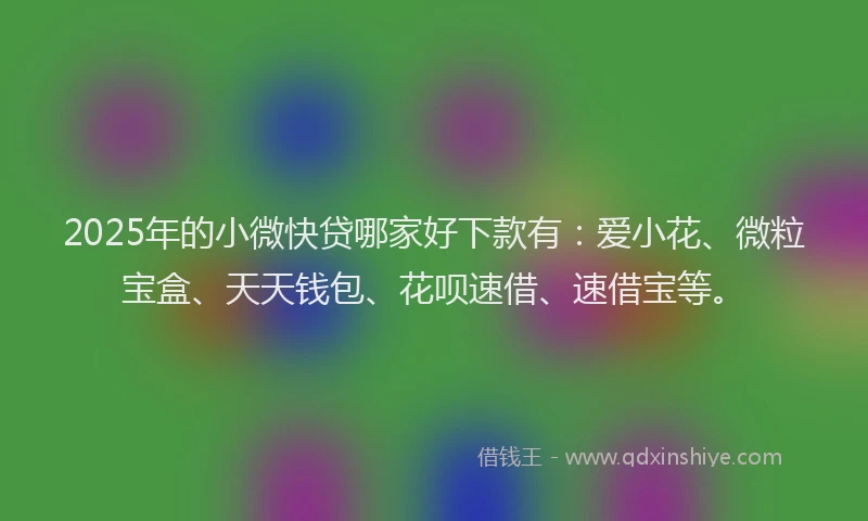 2025年的小微快贷哪家好下款有：爱小花、微粒宝盒、天天钱包、花呗速借、速借宝等。