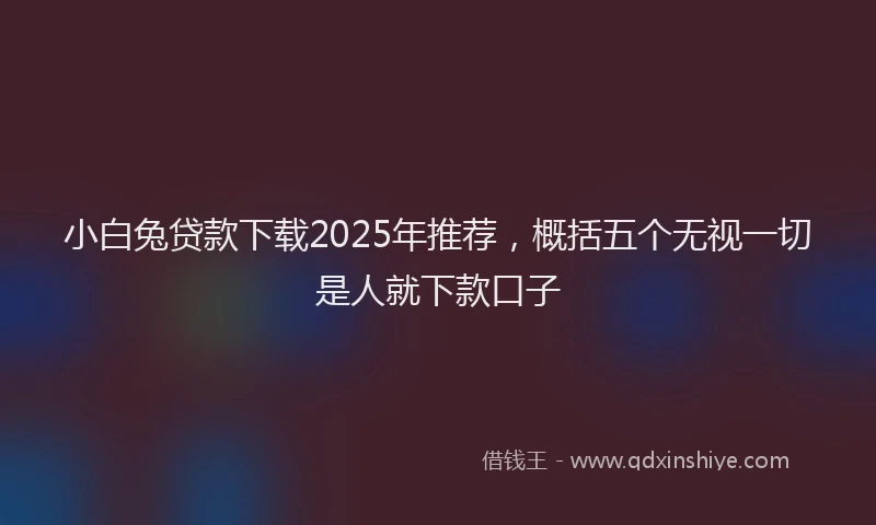小白兔贷款下载2025年推荐，概括五个无视一切是人就下款口子
