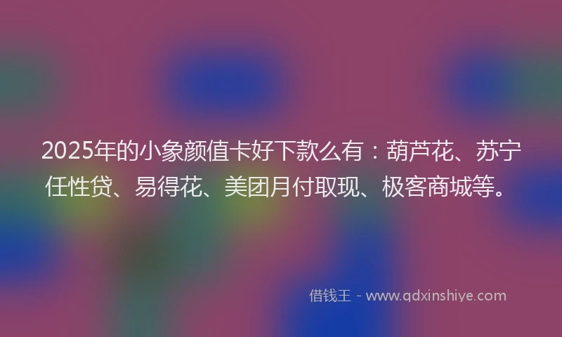 2025年的小象颜值卡好下款么有：葫芦花、苏宁任性贷、易得花、美团月付取现、极客商城等。