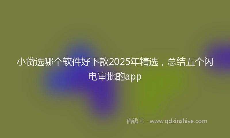 小贷选哪个软件好下款2025年精选，总结五个闪电审批的app