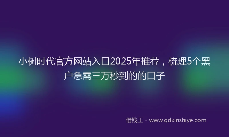 小树时代官方网站入口2025年推荐，梳理5个黑户急需三万秒到的的口子