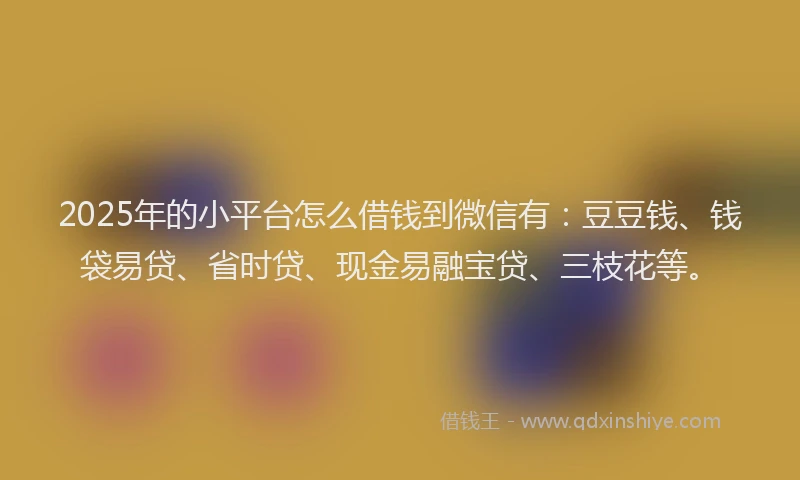 2025年的小平台怎么借钱到微信有：豆豆钱、钱袋易贷、省时贷、现金易融宝贷、三枝花等。